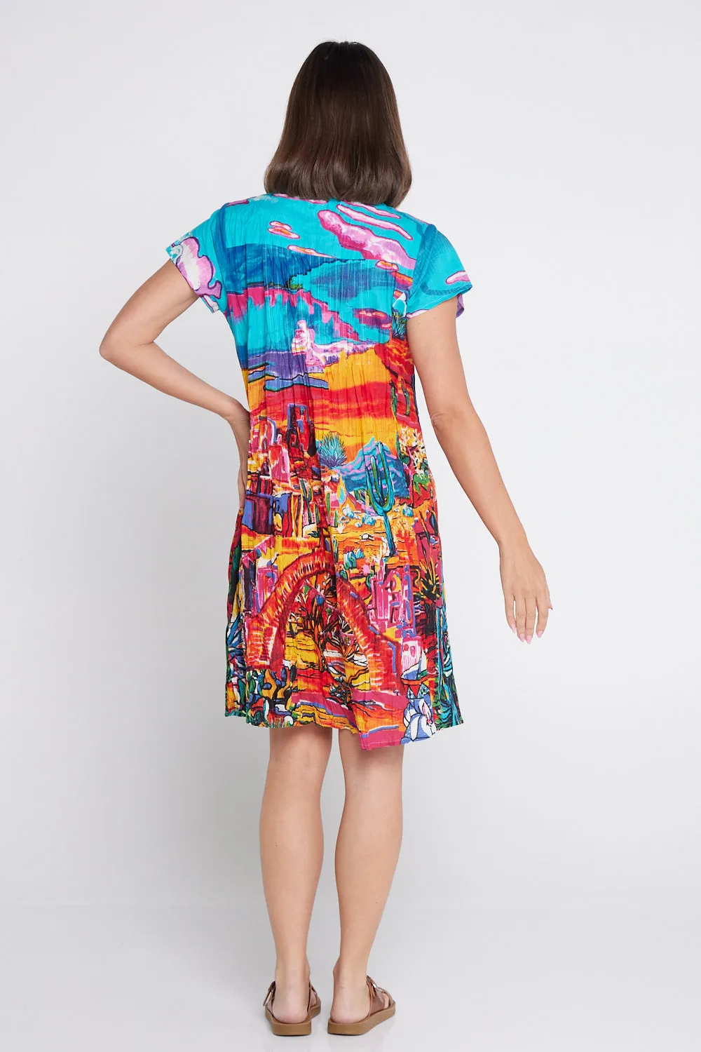 Ocampo Easy Fit Cotton Dress - Cactus Print